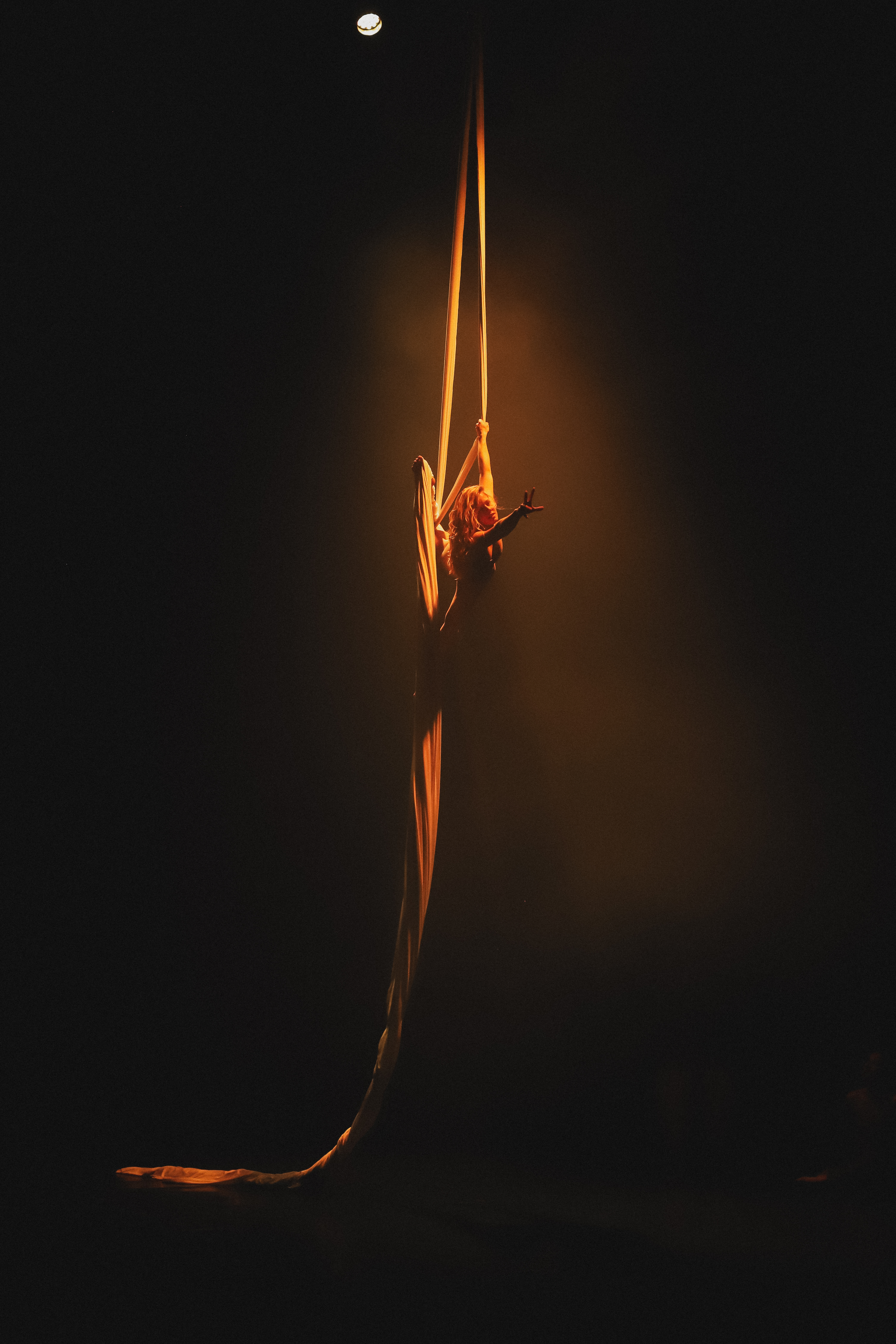 Apollo Performance